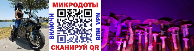 darknet какой сайт  Пикалёво  Псилоцибиновые грибы Psilocybe 